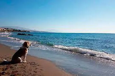 Διαμέρισμα Magnificent Front Sea Views *